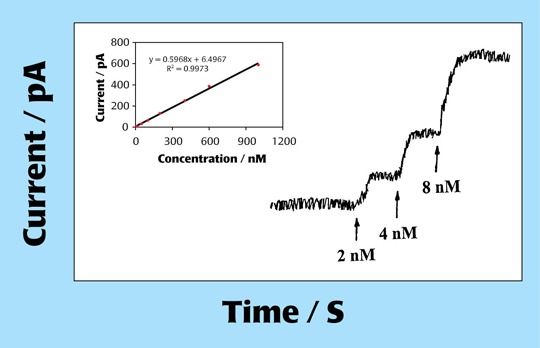 Amperometric response of the NO nanosensor (ISO-NOPNM)