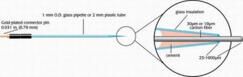 Carbon Microelectrodes