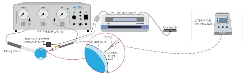 WPI MICRO-ePORE™ pinpoint cell penetrator setup