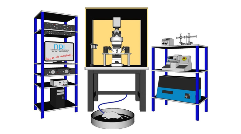 We Have a New Partner npi electronic