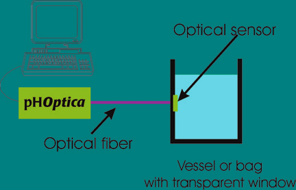 pHOptica Mini System